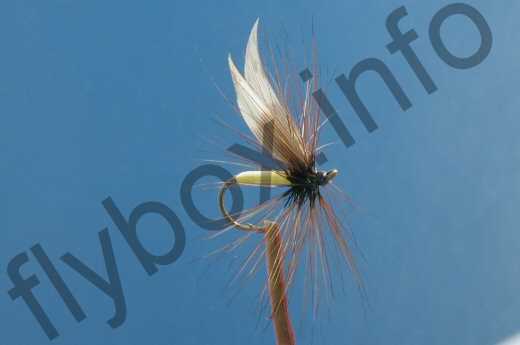 Baigent's Brown